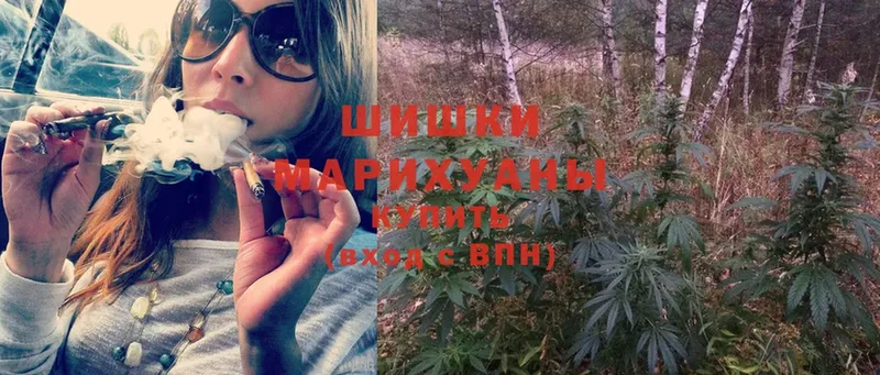 Каннабис OG Kush  Новая Ляля 